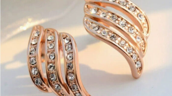 Temperament personality, wild earrings, earrings, earrings, simple